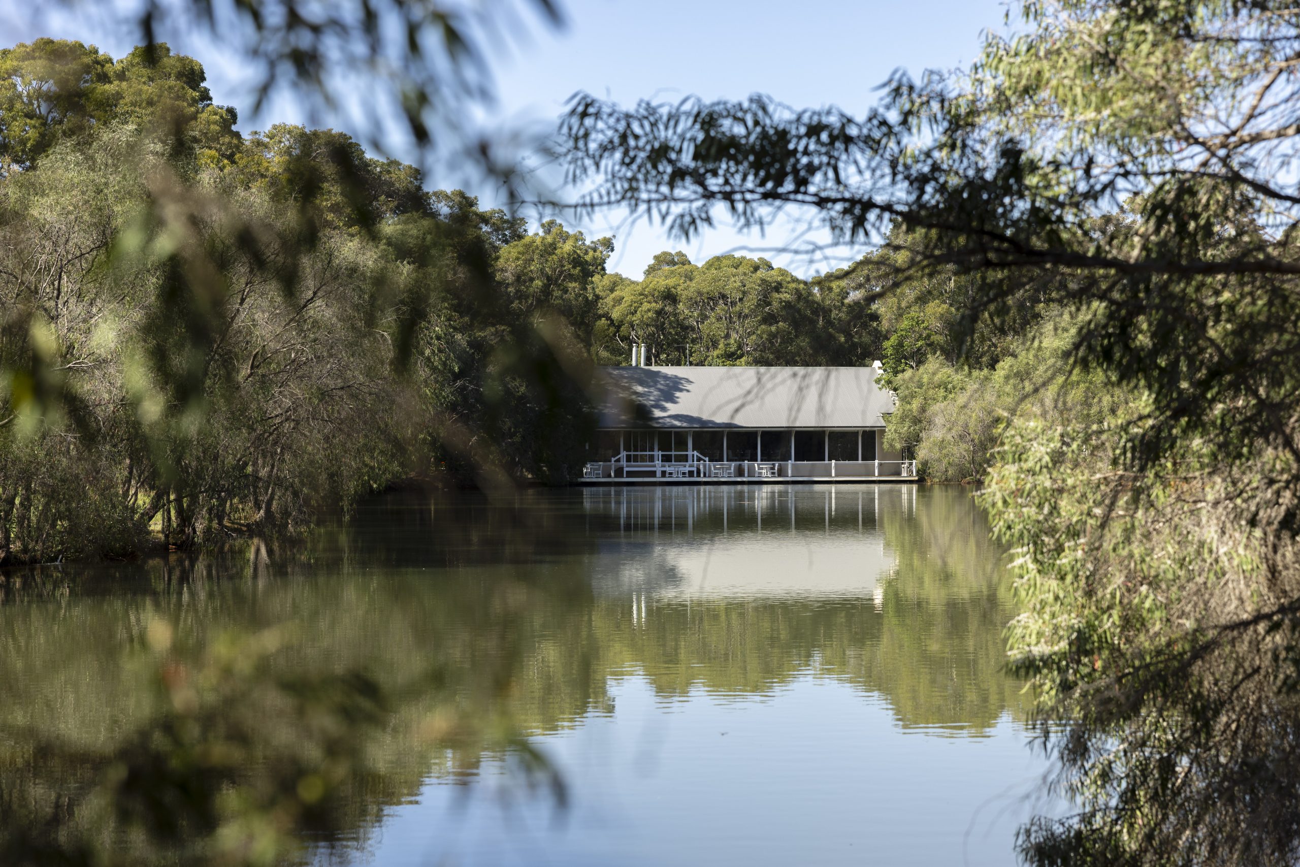 Sip and Savour Saturdays